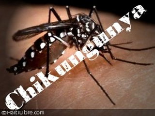 chikungunya