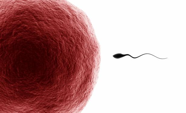 semen