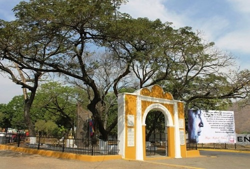 Samán de Guere