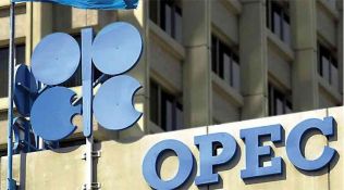 petroleo