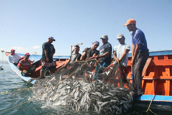 Pescadores1