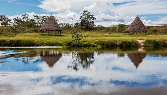 Sabana