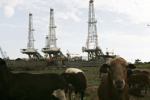 Vacas