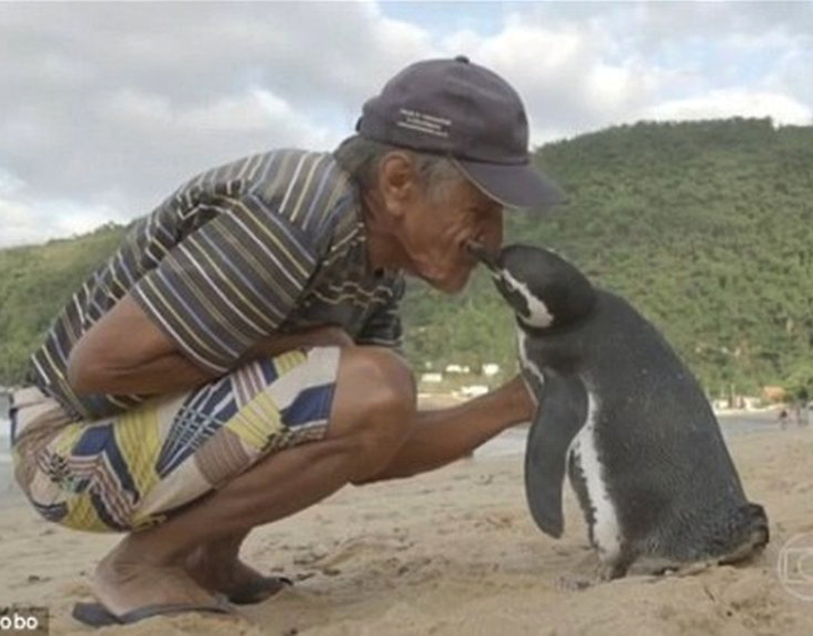 eb66fd9decca7c3eebed969cfda1de4f