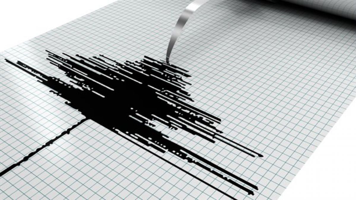 sismo4