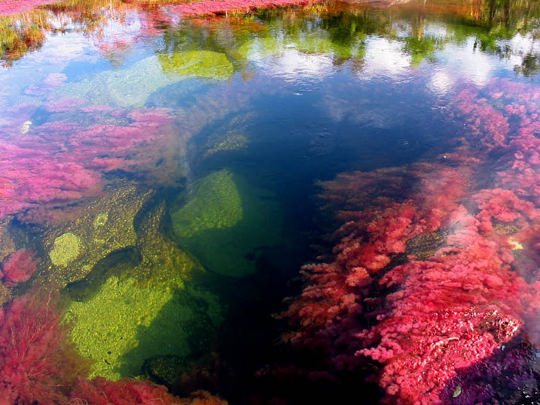 río-colores