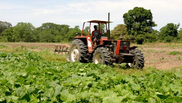 area agroalimentaria