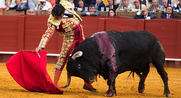 Tauromaquia-e1476984450828