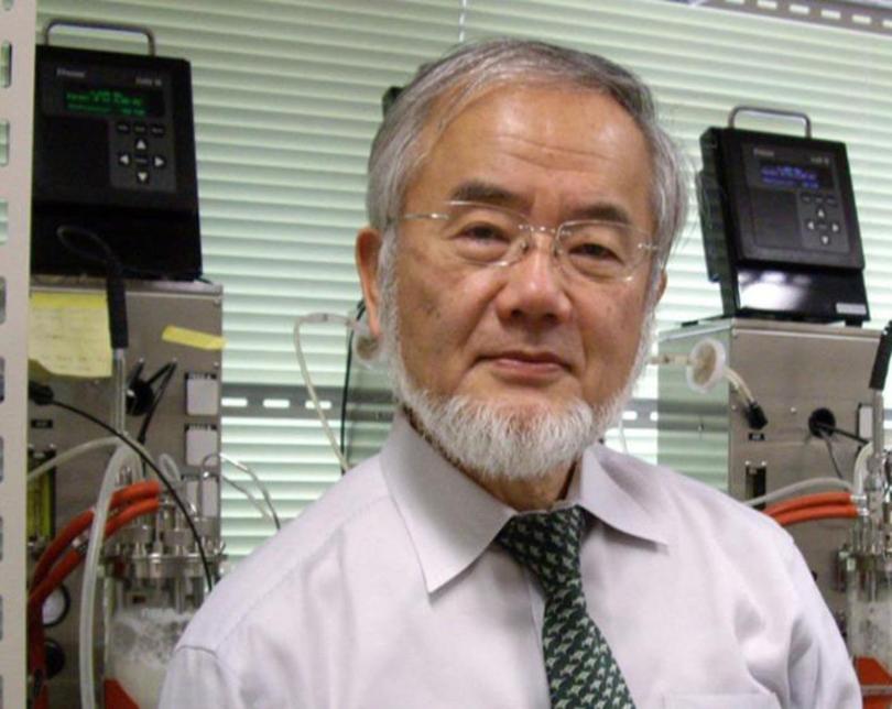 biologo japones