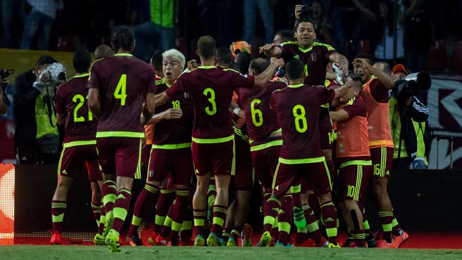 vinotinto