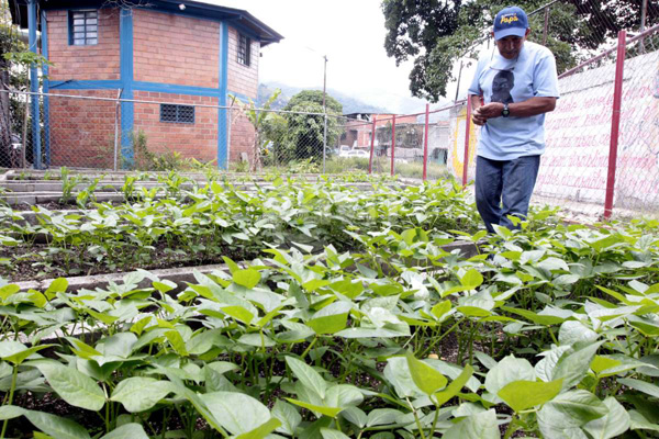 agriculturaurbana3_zps3879fe3c