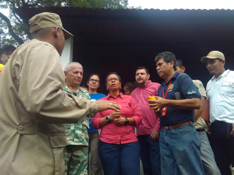 Gobierno de calle tucani 2