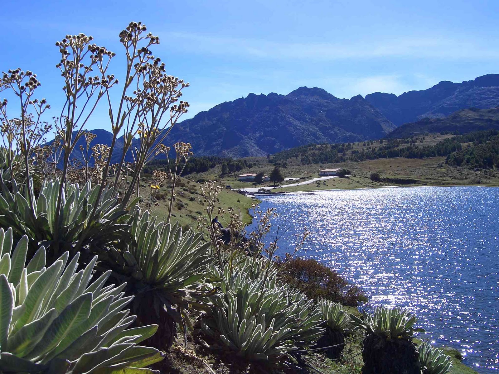 Laguna Mucubají