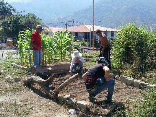 SIEMBRA-LOS-CUROS-540x405