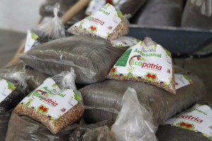 ecopatria-300x200