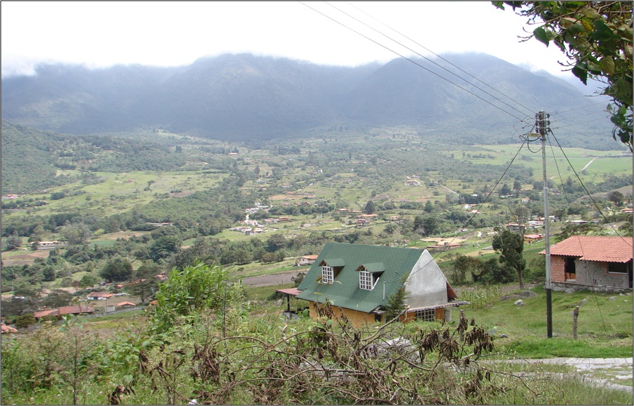 mucujun 1