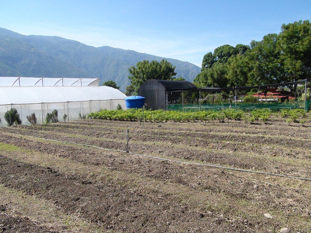 DSC04158 (1)