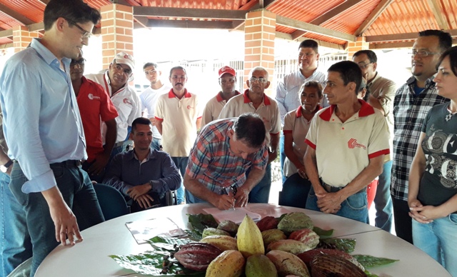 FIRMA DE CACAO CRIOLLO (30)