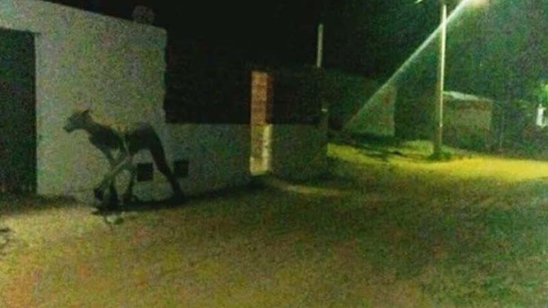 monstruo