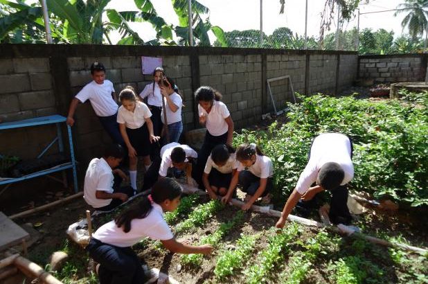 imagen huerto escolar