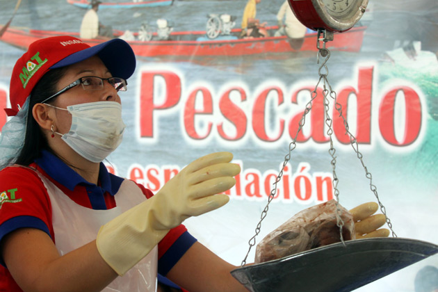 pescado14dn6301