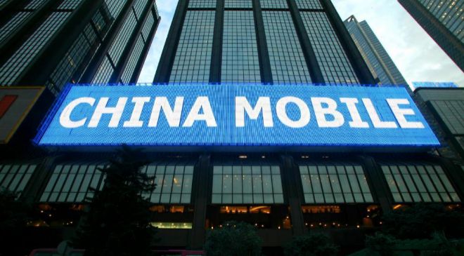 15036004424956