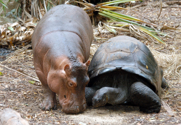 Captura de pantalla 2018-10-11 a la(s) 08