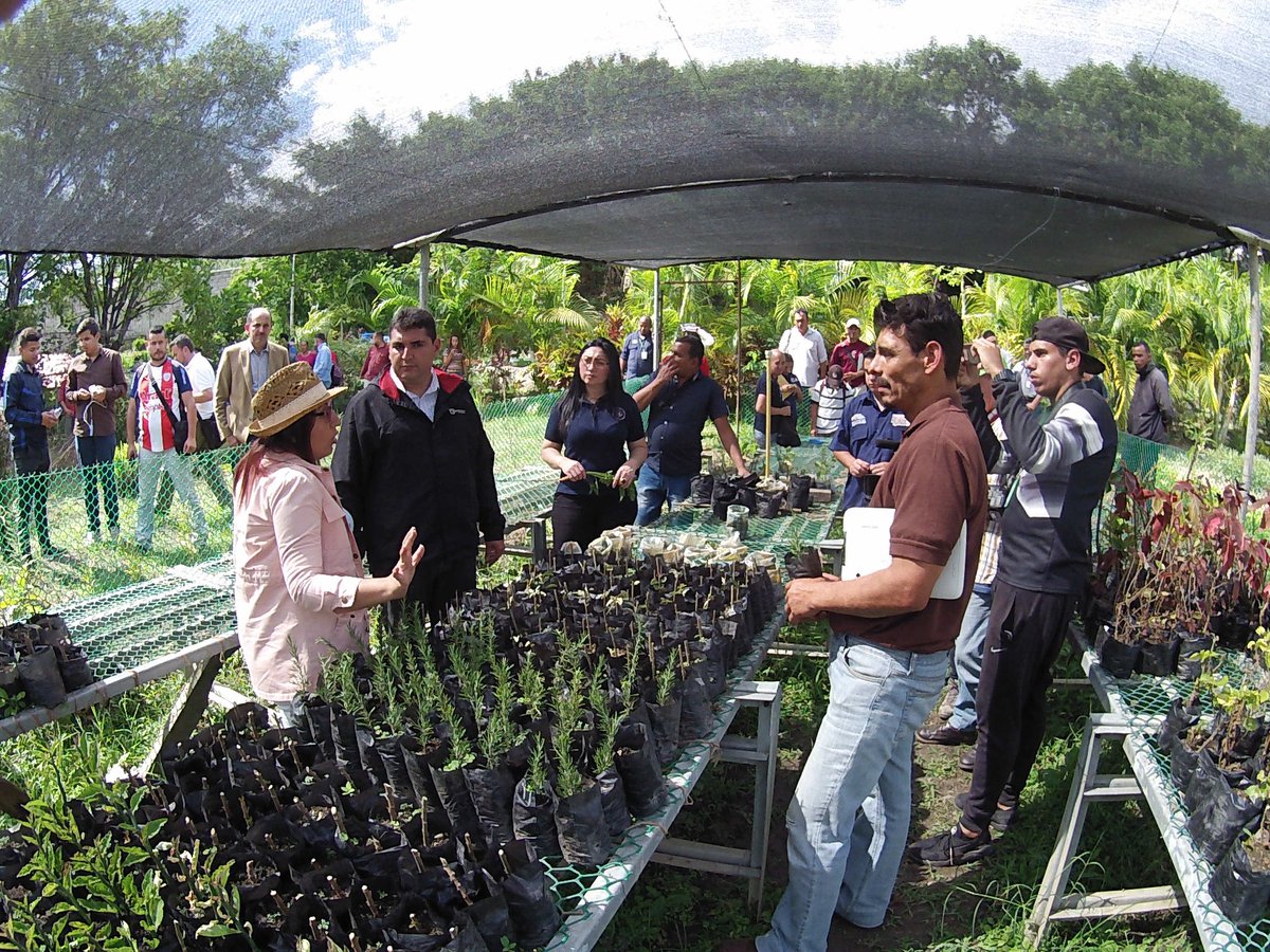 Agricultura Urbana