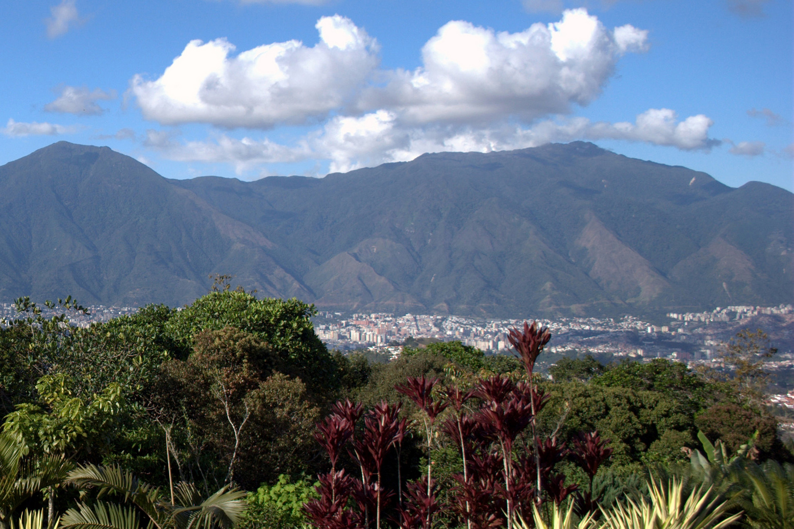 cerro-el-avila-caracas-venezuela-f3e864da-afa9-451d-bf76-a84ca398ab59