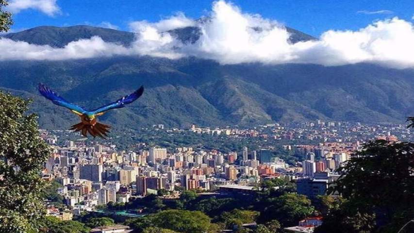 caracas
