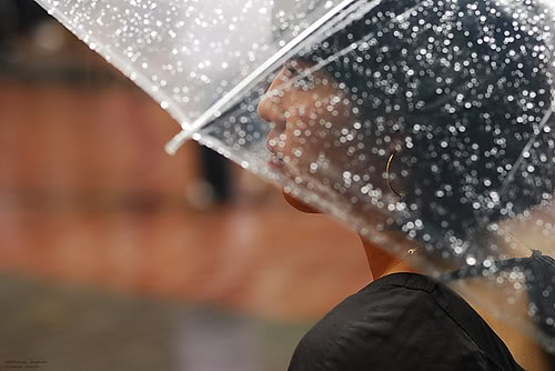 paraguas-transparente-lluvia_2
