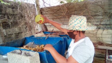 Técnicos de campo del Minppau visitan comunidades para captar nuevos productores en Portuguesa