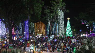 Navidades Comunitarias