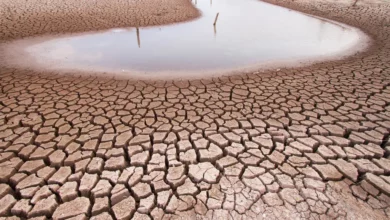 Fenómeno El Niño llegaría entre julio y septiembre de este año