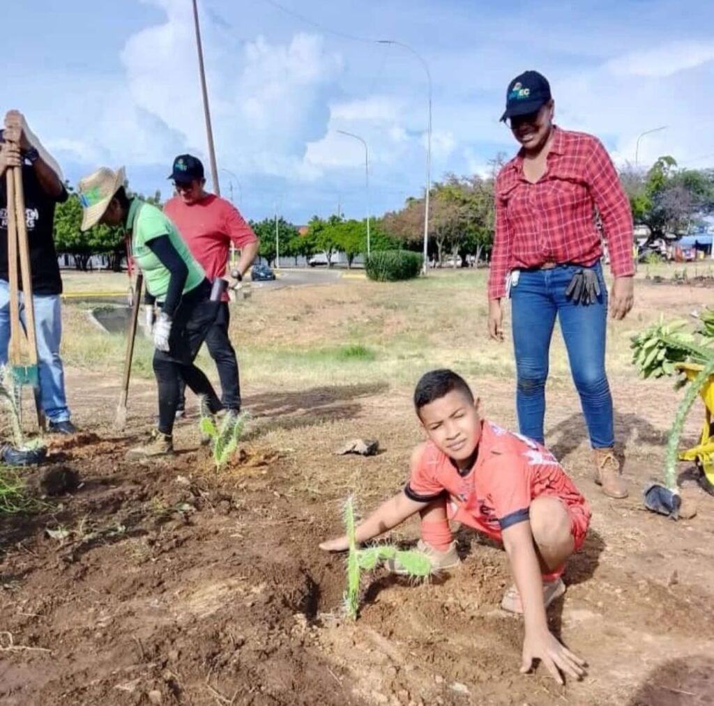 Jornada especial de arborización se despliega en la circunvalación Nº 1 en Maracaibo