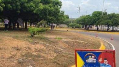 Jornada-arborización-despliega-circunvalación-Maracaibo
