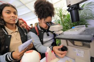 Más del 65% de estudiantes eligen carreras priorizadas en el SNI