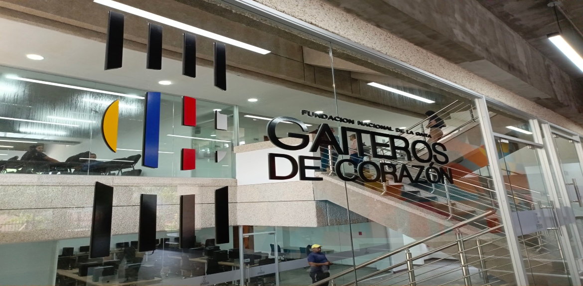 Fundación Nacional de la Gaita cierra el año con cuatro conciertos