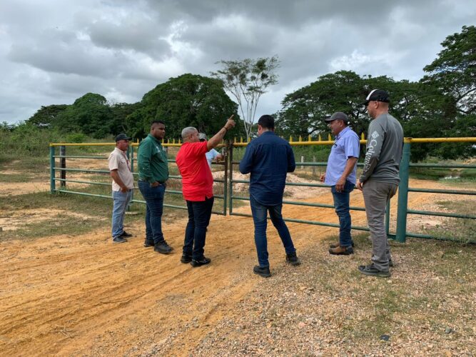 Se Reactiva Producción Agropecuaria 