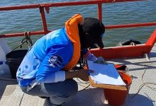 ICLAM evalúa la calidad de agua en balnearios de la Cuenca del Lago de Maracaibo de cara a los Carnavales 2026