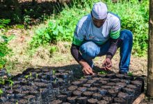 Avanza elaboración de sustrato orgánico y germinación de semillas para Plan Nacional de Reforestación en Carabobo