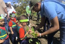 Más de mil plantas sembradas durante jornadas ecosocialistas en centros educativos de Valencia