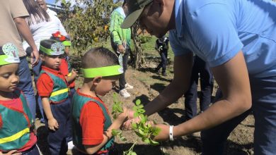 Más de mil plantas sembradas durante jornadas ecosocialistas en centros educativos de Valencia