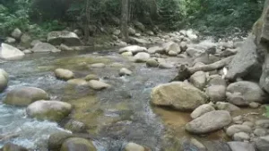 Carnavales Turísticos 2026 en San Fidel del Apón