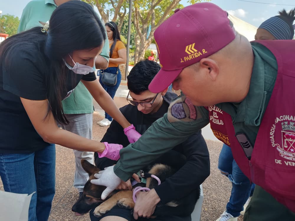 Se realizó Jornada de Vacunación Antirrábica en la parroquia Altagracia municipio Miranda