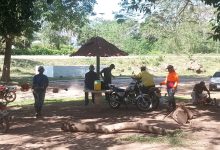 Carnavales Turísticos 2026 en San Fidel del Apón