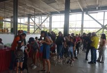 Misión Nevado inició exitosamente Campaña de Vacunación Séxtuple canina gratuita en Carabobo