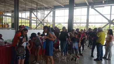 Misión Nevado inició exitosamente Campaña de Vacunación Séxtuple canina gratuita en Carabobo