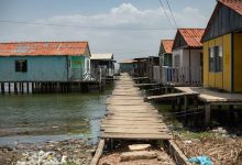 Alcaldía de Maracaibo reemplaza caminerías de madera en Santa Rosa de Agua