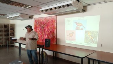 Promueven el avistamiento de la avifauna en el municipio Miranda del estado Zulia